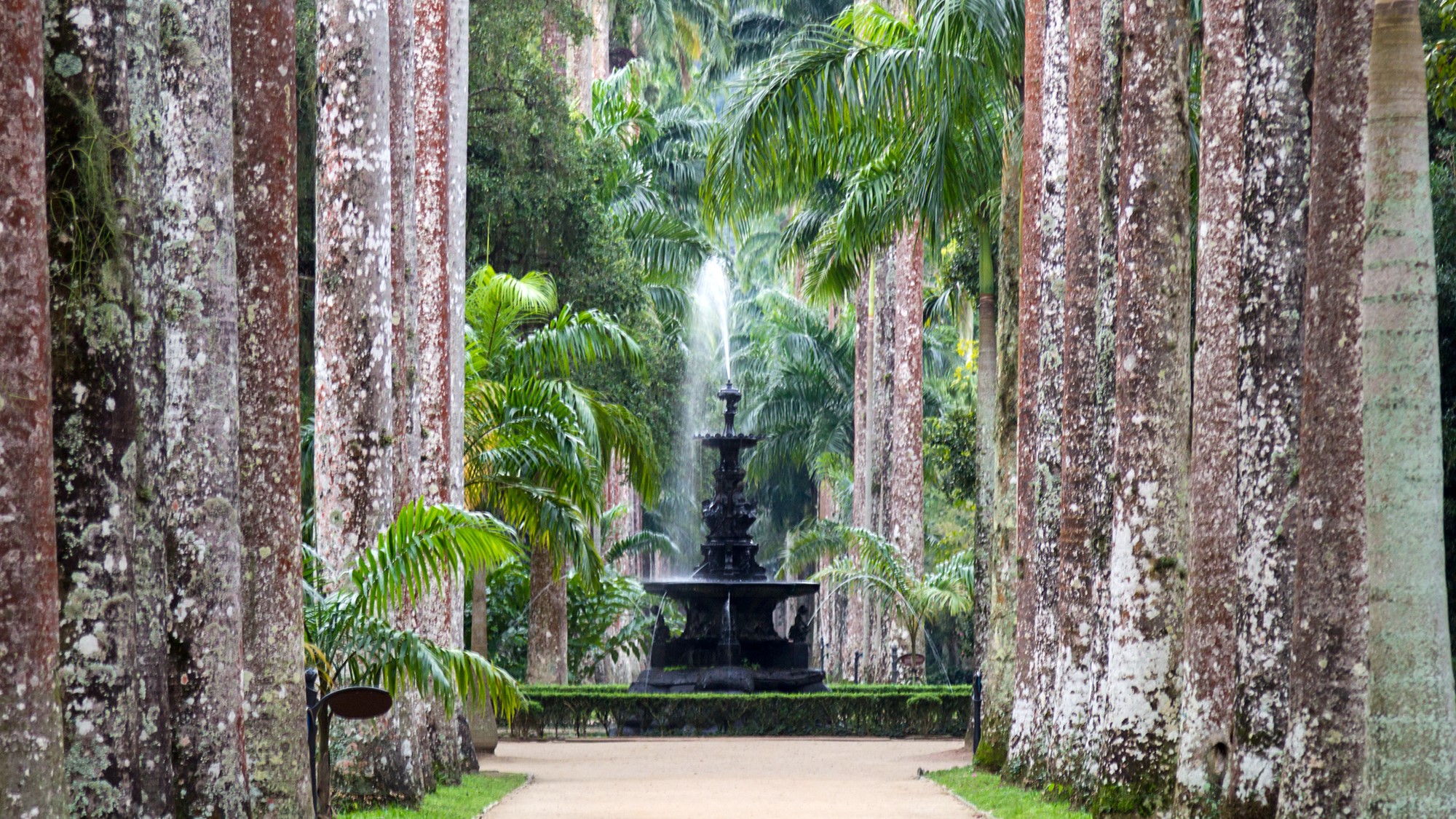 A picture of a rosegarden in the foreground of the gardens and an ornate greenhouse in the center of the image